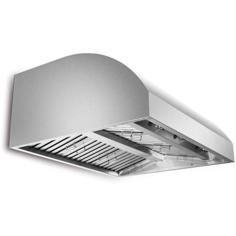 Blaze - 42" Stainless Steel Outdoor Wall-Mount Vent Hood