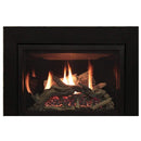 Empire Rushmore 30 Inch Direct Vent Gas Fireplace Insert