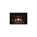 Empire Rushmore 30 Inch Direct Vent Gas Fireplace Insert
