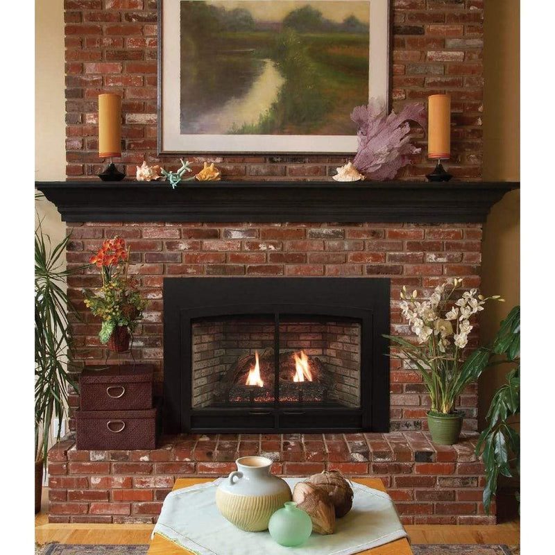 Empire | Innsbrook Large Direct-Vent Clean Face Gas Fireplace Insert 46"