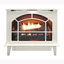 Buck Stove Townsend II Vent Free Stainless Steel Gas Stove