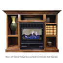 Buck Stove Model 1127 Vent Free Gas Stove