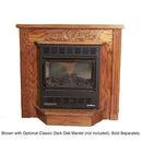 Buck Stove Model 1127 Vent Free Gas Stove