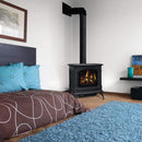 Napoleon 27 Inch Knightsbridge Freestanding Direct Vent Cast Iron Gas Stove