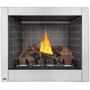Napoleon - Riverside 36 Clean Face Outdoor Gas Fireplace