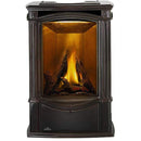 Napoleon 24 Inch Castlemore Cast Iron Direct Vent Electric Ignition Gas Stove