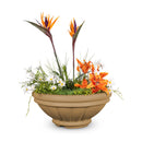 ROMA CONCRETE – PLANTER BOWL - ROMA CONCRETE – PLANTER BOWL
