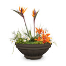 ROMA CONCRETE – PLANTER BOWL - ROMA CONCRETE – PLANTER BOWL