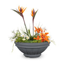 ROMA CONCRETE – PLANTER BOWL - ROMA CONCRETE – PLANTER BOWL