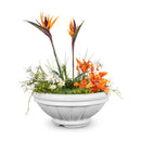 ROMA CONCRETE – PLANTER BOWL - ROMA CONCRETE – PLANTER BOWL