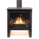 Direct Vent Gas Stove | BelleFlame