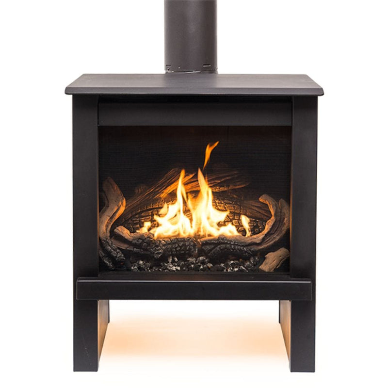 Direct Vent Gas Stove | BelleFlame