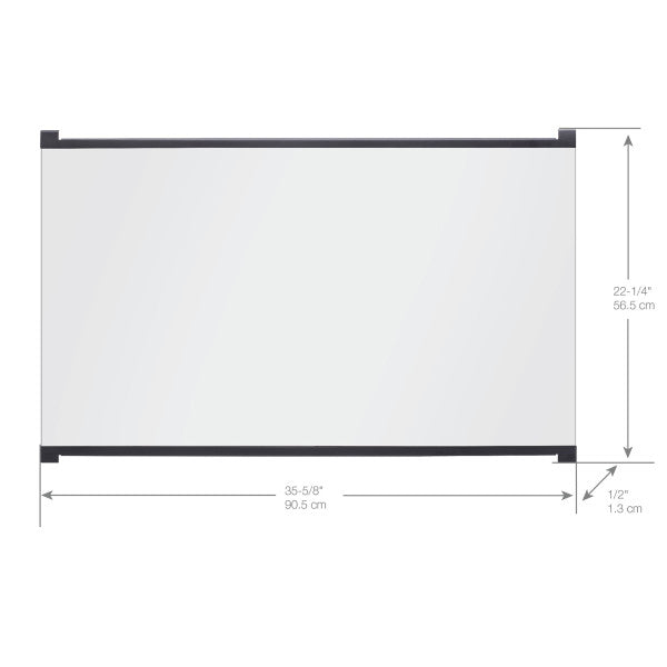 Dimplex 39" Tamperproof Glass Door for BF39DXP 39" Built-in Firebox